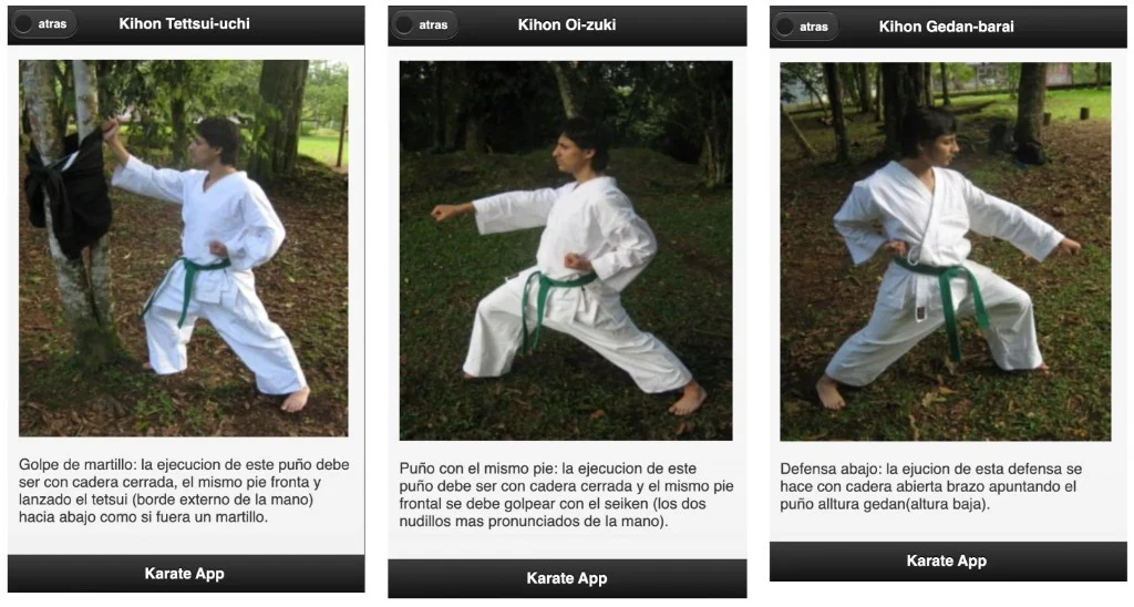 Three KDoSensei technique detail screens for kihon moves Tettsui-uchi, Oi-zuki, and Gedan-barai, each with an outdoor photo and explanatory Spanish text