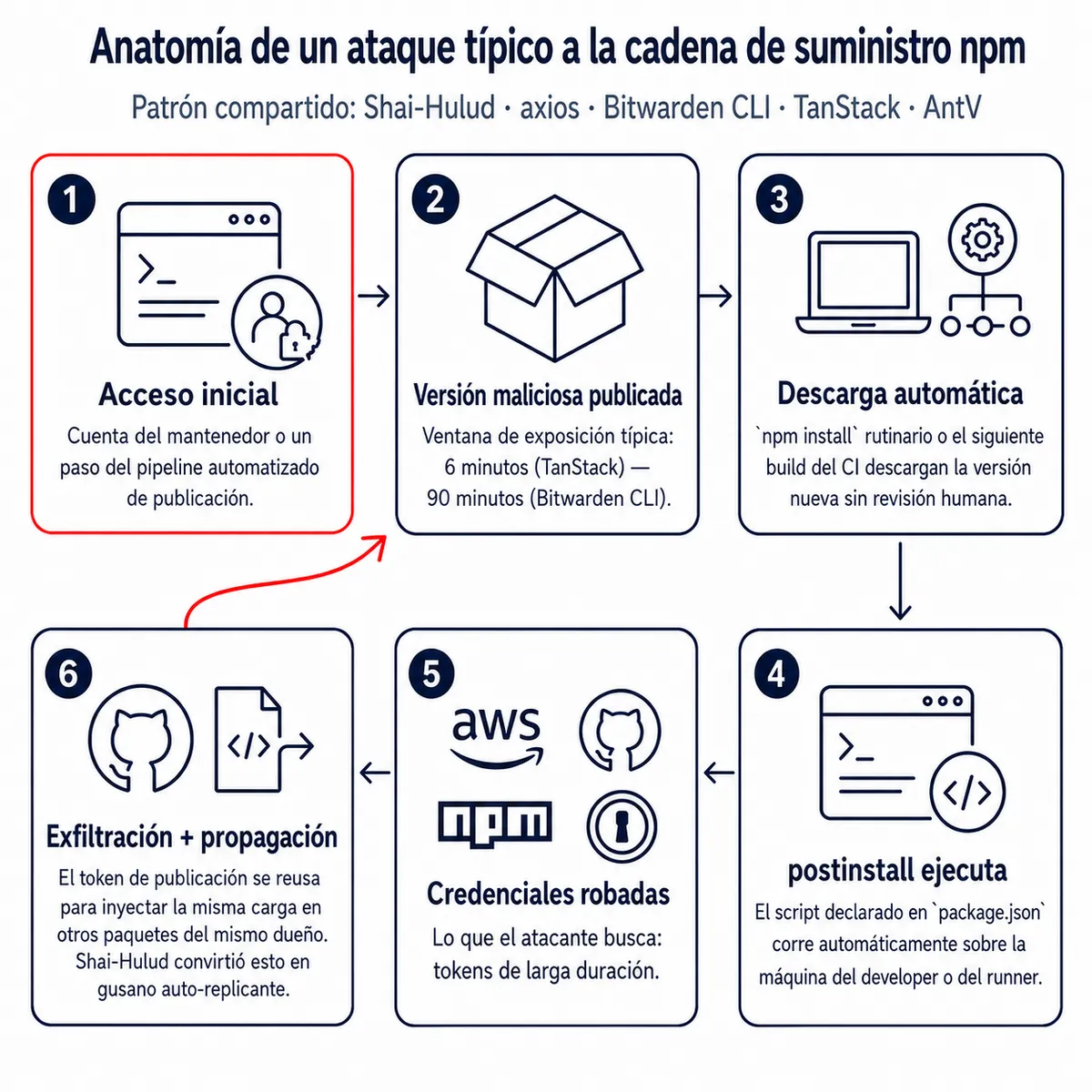 Diagrama horizontal de seis etapas que muestra la anatomía típica de un ataque a la cadena de suministro npm: (1) compromiso del mantenedor o del pipeline de publicación, (2) publicación de una versión maliciosa en una ventana corta de 6 a 90 minutos, (3) descarga automática vía npm install rutinario o el siguiente build del CI, (4) ejecución del script postinstall declarado en package.json, (5) robo de credenciales — AWS, GitHub, token de publicación de npm, accesos a 1Password — y (6) exfiltración a un repositorio público acompañada de propagación a otros paquetes del mismo dueño, formando el bucle auto-replicante que caracterizó a Shai-Hulud.
