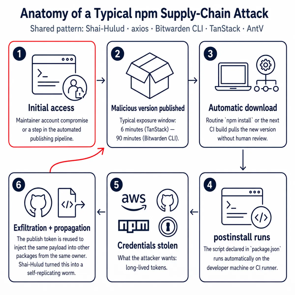 Horizontal six-stage diagram showing the typical anatomy of an npm supply-chain attack: (1) maintainer account or publishing-pipeline compromise, (2) a malicious version published in a short 6 to 90-minute window, (3) automatic download via routine npm install or the next CI build, (4) execution of the postinstall script declared in package.json, (5) credential theft — AWS, GitHub, npm publish token, 1Password vault keys — and (6) exfiltration to a public repository along with propagation to other packages owned by the same maintainer, forming the self-replicating loop that defined Shai-Hulud.